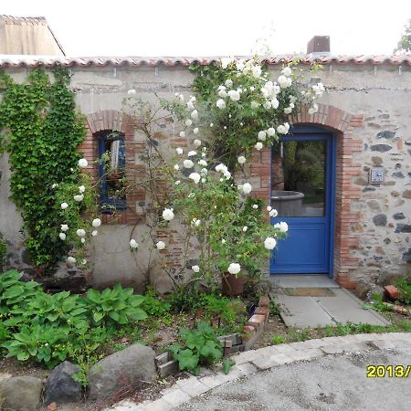 Maison De Charme A Mouzillon - Jardin Et Terrasse Accueillante Eksteriør billede