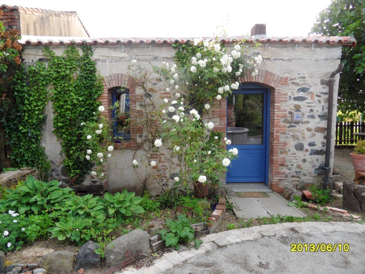 Maison De Charme A Mouzillon - Jardin Et Terrasse Accueillante Eksteriør billede