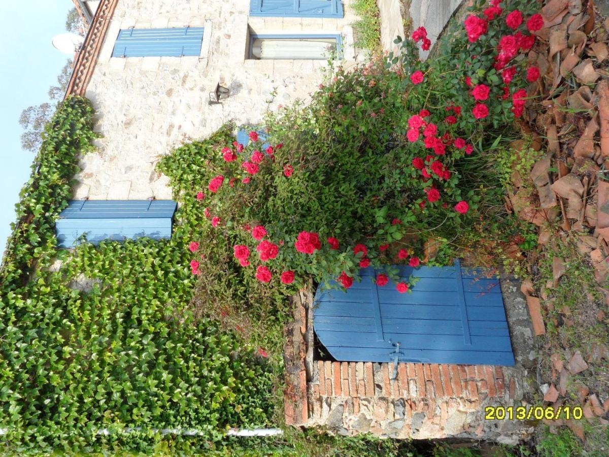 Maison De Charme A Mouzillon - Jardin Et Terrasse Accueillante Eksteriør billede